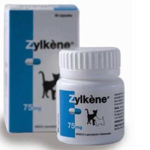 Zylkene 75 mg. kat og hund 30 stk. kapsler